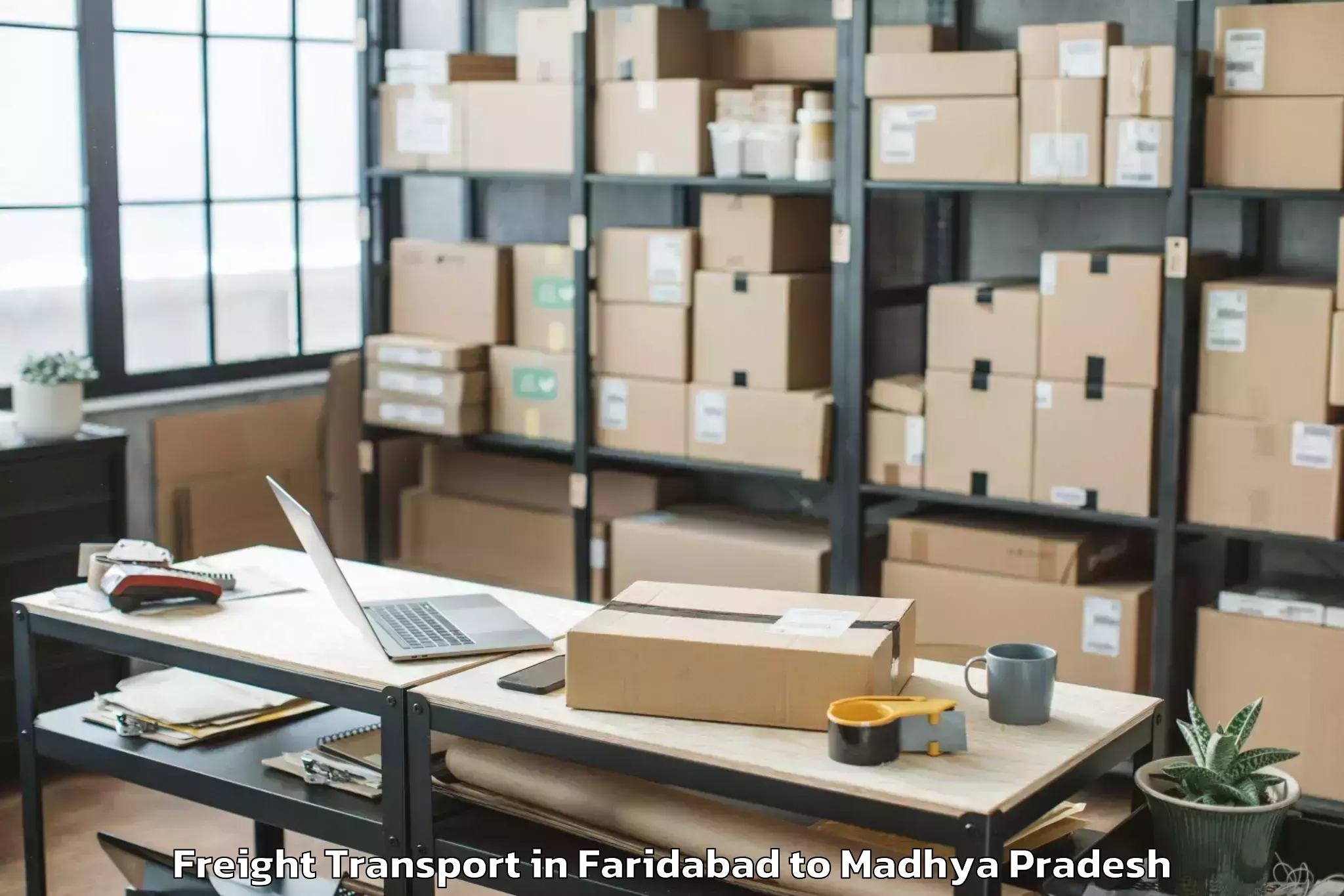 Faridabad to Satna Airport Tni Freight Transport